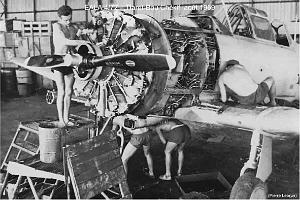 182- ARMEE DE L'AIR EN ALGERIE 1945-1962-30 (22)